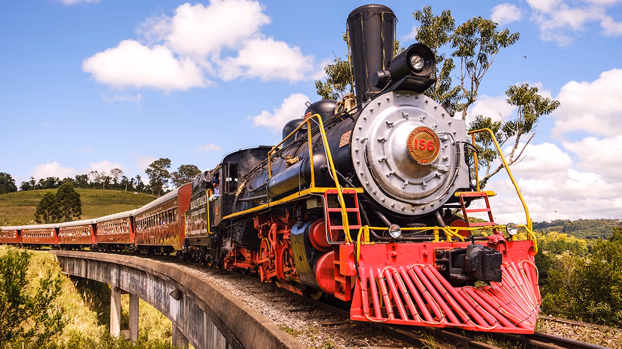 Trem Maria Fumaça atravessando os parreirais da serra