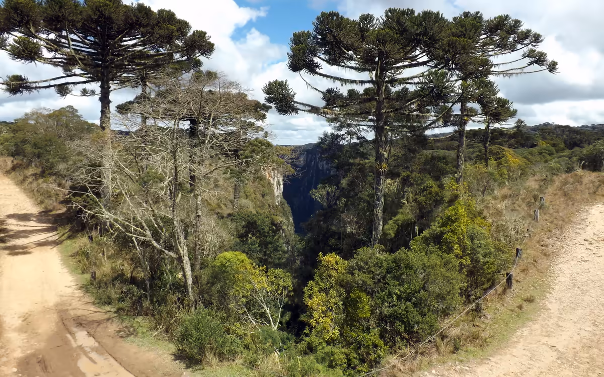 Mirante do Cânion Itaimbezinho