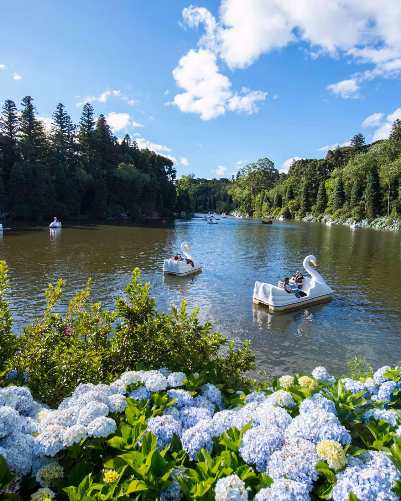 Lago Negro em Gramado cercado de árvores